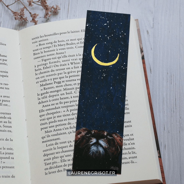A look at the stars (bookmark)
